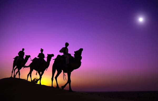 Voyage de Noces au Rajasthan