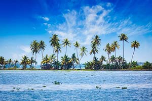 Jour 10 : De Kumarakom à Alleppey (1h de route)