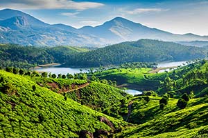 Jour 3 : Visite de Munnar