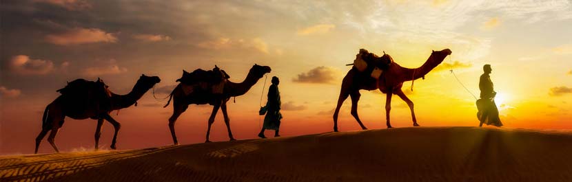 voyage sur mesure en inde