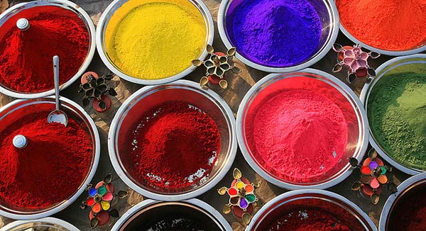 Jour 17 : Visite de Delhi